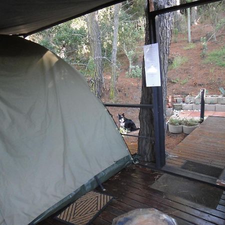 Eagles' Call Cottages And Tent Wilderness Luaran gambar