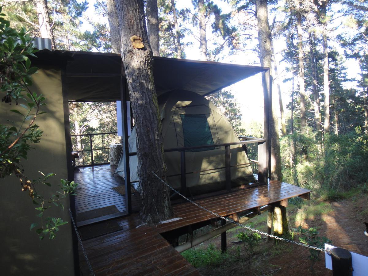 Eagles' Call Cottages And Tent Wilderness Luaran gambar