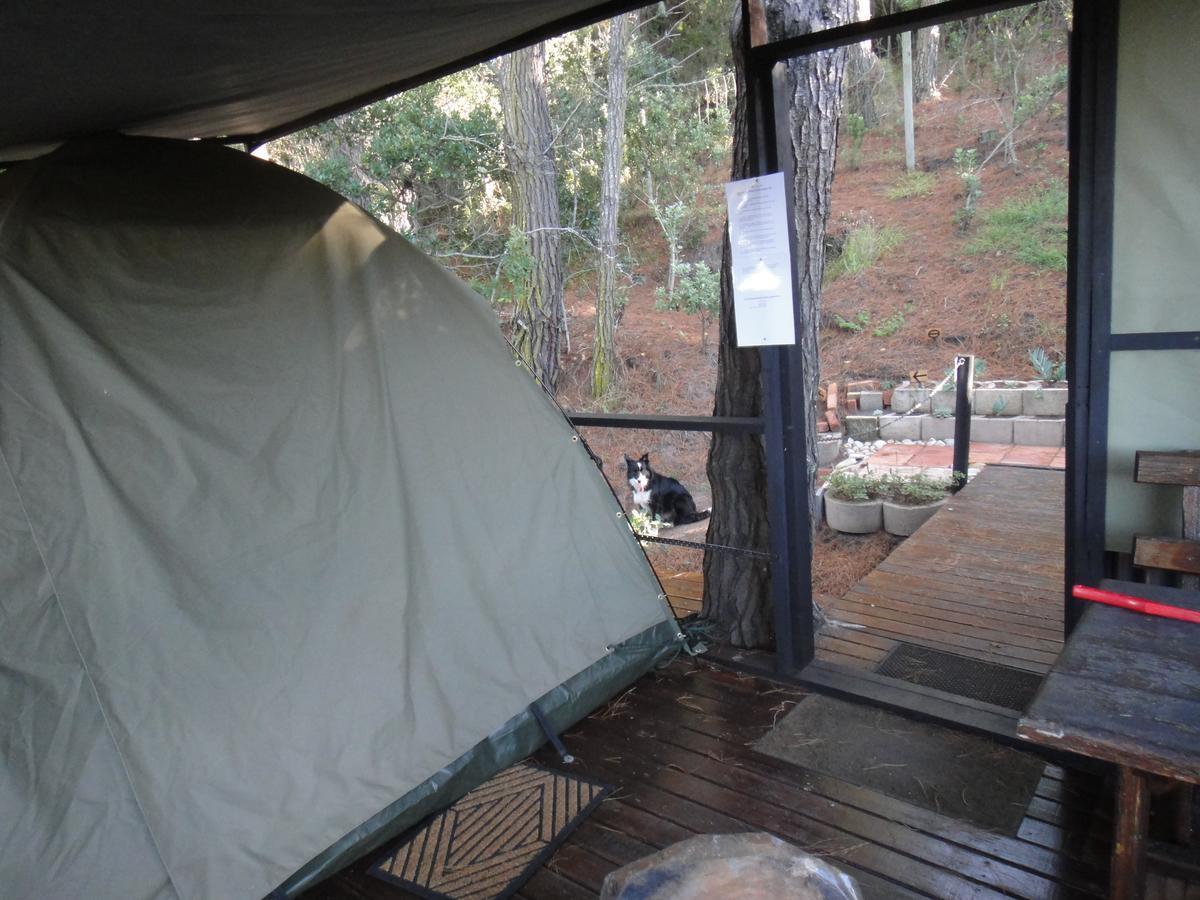 Eagles' Call Cottages And Tent Wilderness Luaran gambar